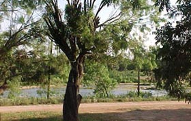 Enjoy fishing, swimming, biking, hiking or just relaxing during your stay at this Texas Hill Country vacation rental on the Llano River