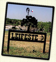 Let Randy Leifeste find the perfect ranch for you...he's a real rancher with real experience and he knows Texas!