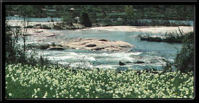 Own a Texas ranch - Call The Ranch Man